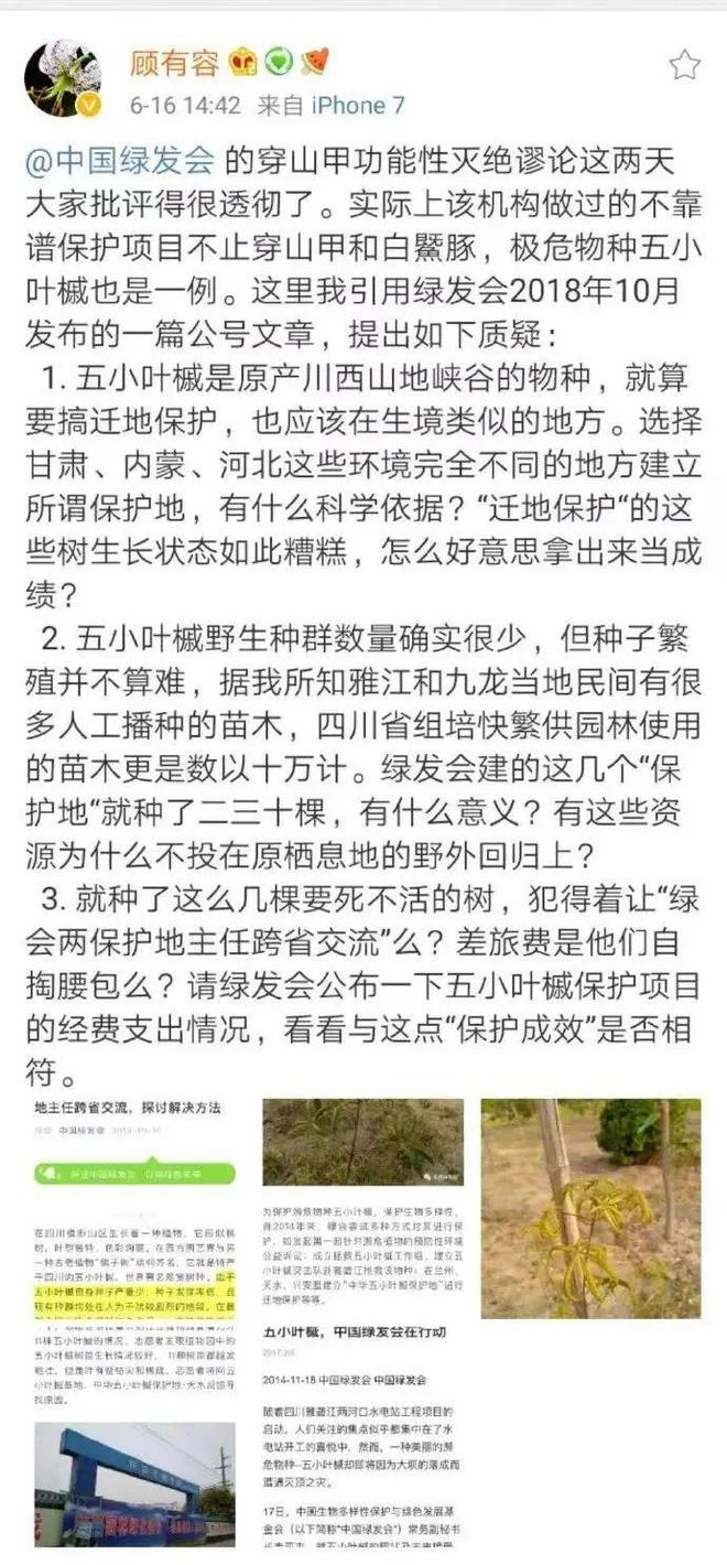 通人乃“绿发会”主任女儿涉NGO九游会哈佛演讲中国女生被扒：非普(图6)